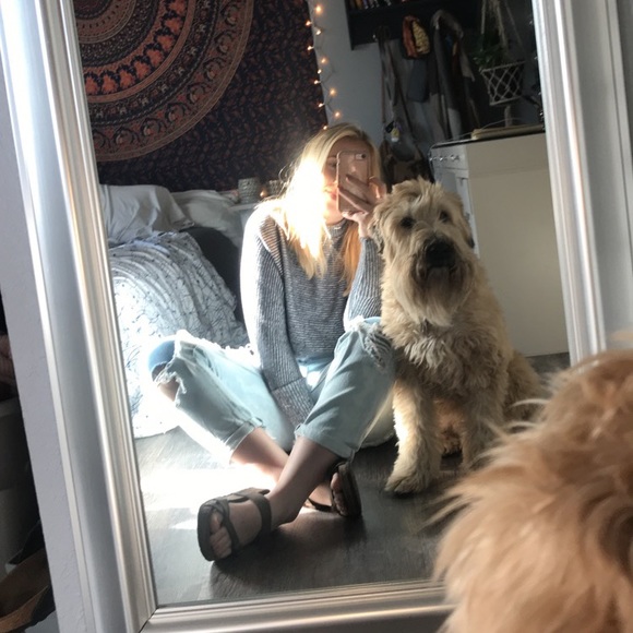 Meet your Posher, Logan - Picture 6 of 7